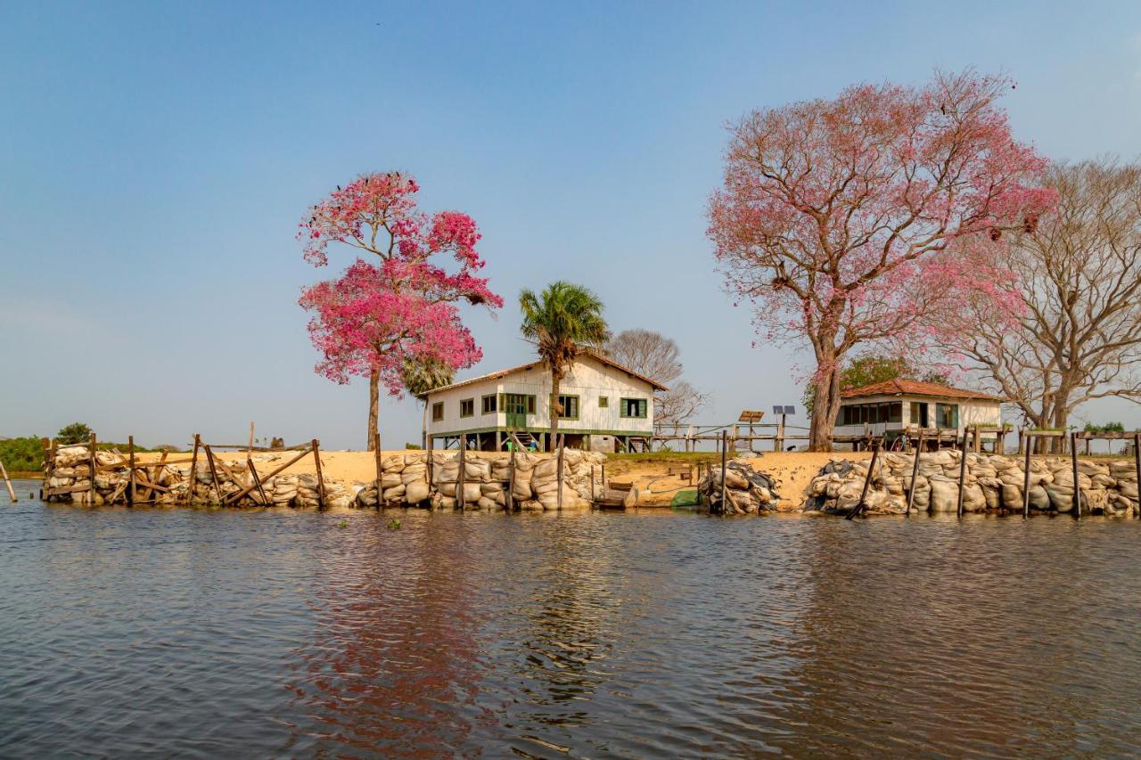 Pantanal Jungle Lodge Passo do Lontra Exterior foto